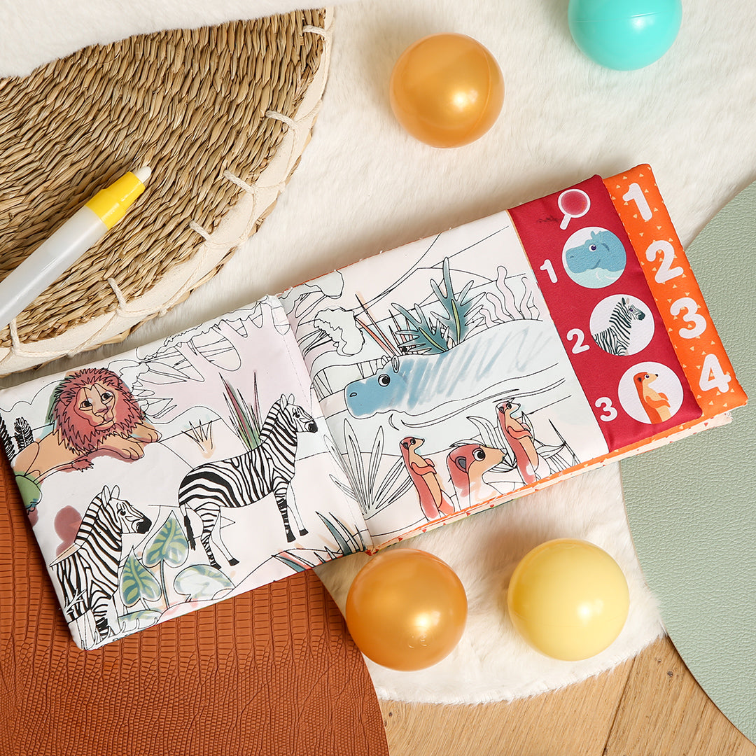 LUDI Educational Coloring Book