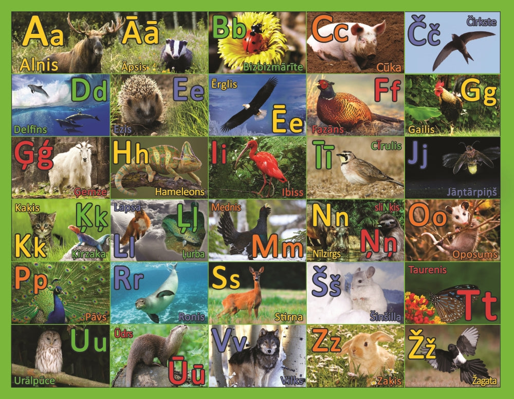 Educational puzzle ABC animals LATVIAN LANGUAGE, 2+
