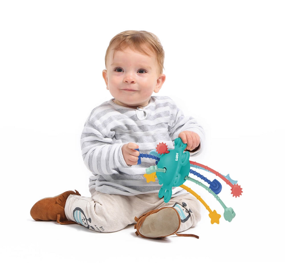 LUDI Zippy Pull-Along Toy