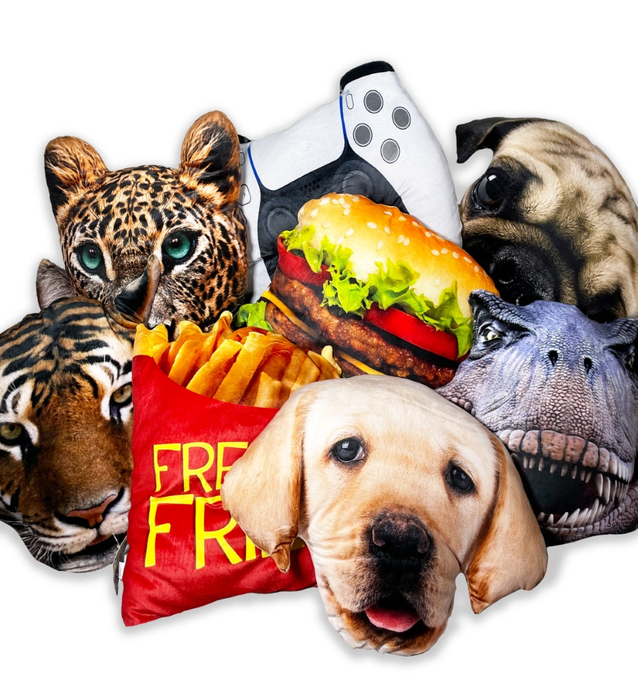 Splat Planet Cushion Souvenir FRENCH BULLDOG