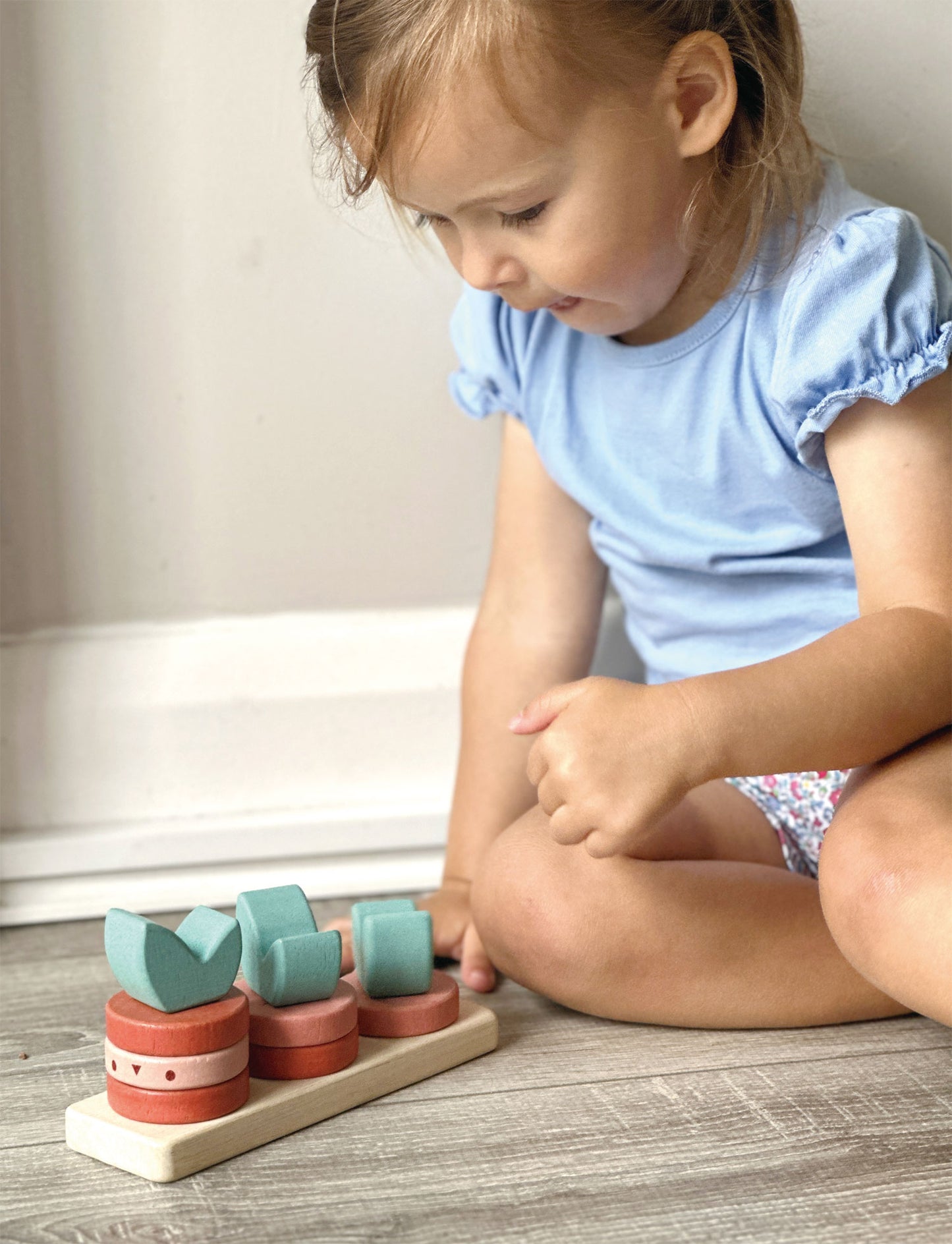Mentari Sorting Toy, Vegetables