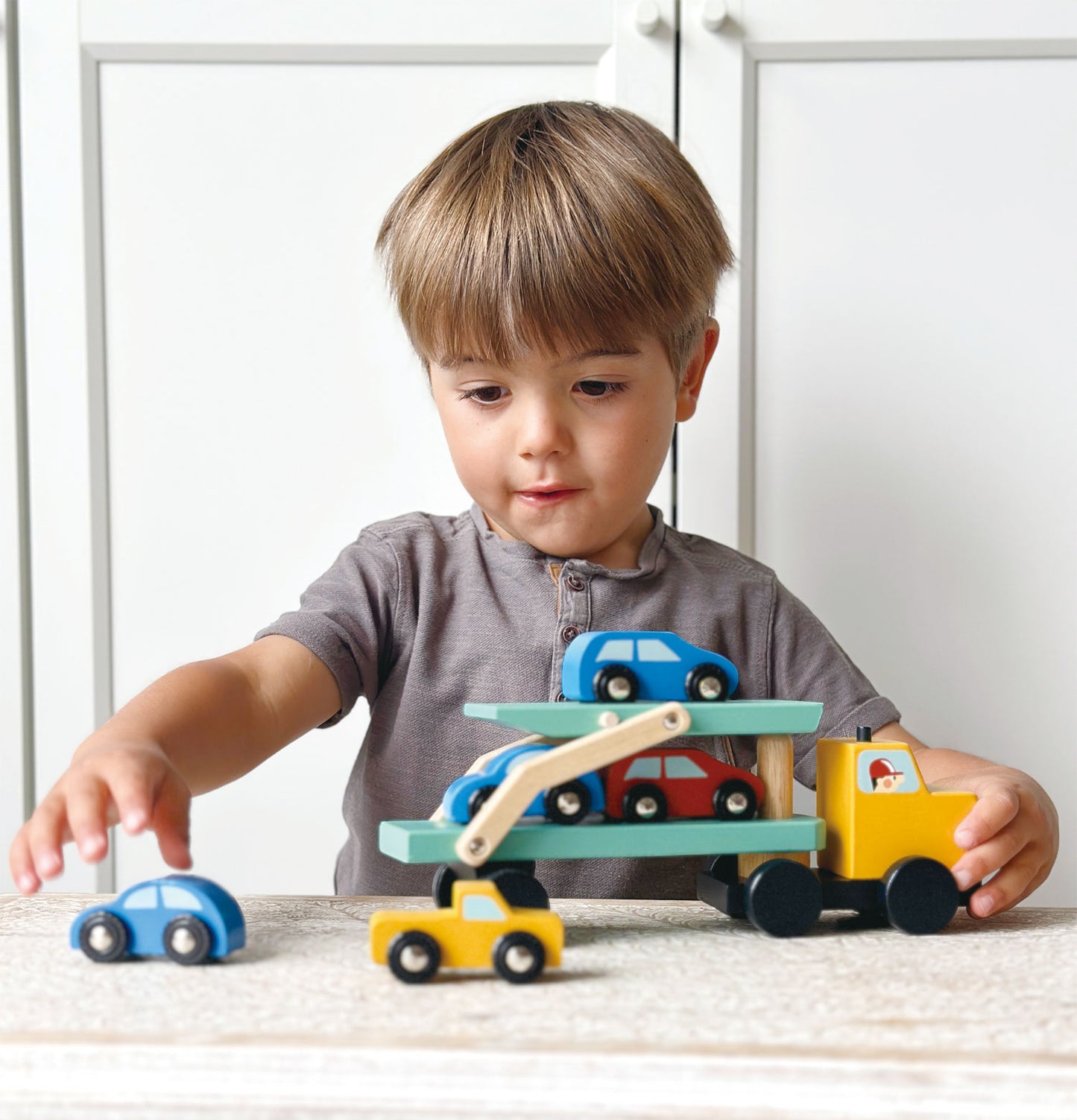 Mentari Dump Truck